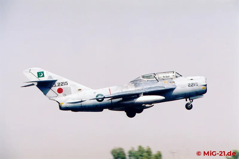 Die FT-5 dienen der Umschulung der jungen Piloten von Übungsmustern auf Einsatzflugzeuge (fighter conversion).