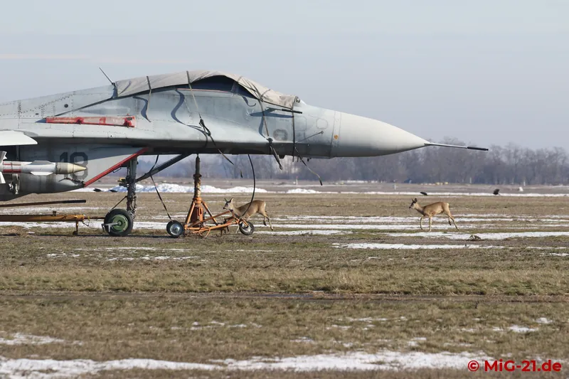 ... a MiG-29 and ...