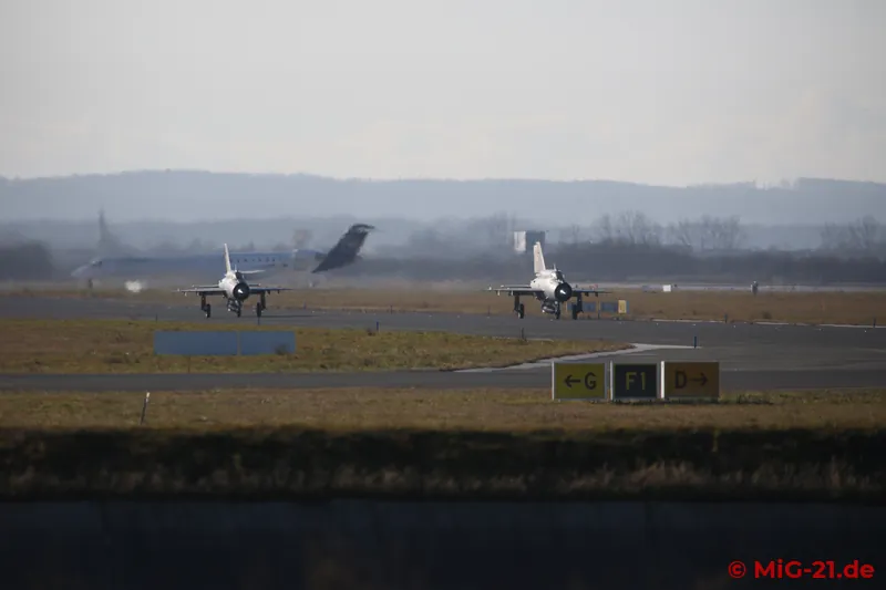 For a brief moment of shock it looks as if they want to take off towards the east, where we are standing, but …