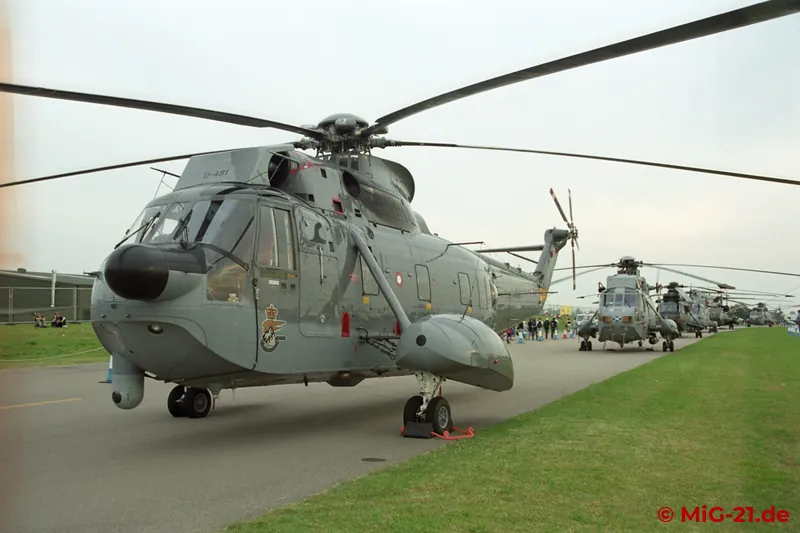 ... and a long line of Sea Kings.