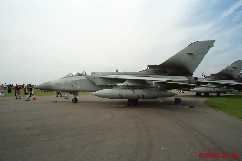 Numerous types that have since been retired were displayed on the ground, such as the Tornado ADV ...