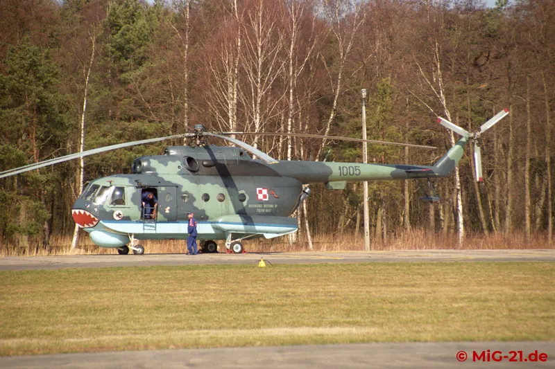 The aircraft, recognisable externally by a new camouflage pattern, ...