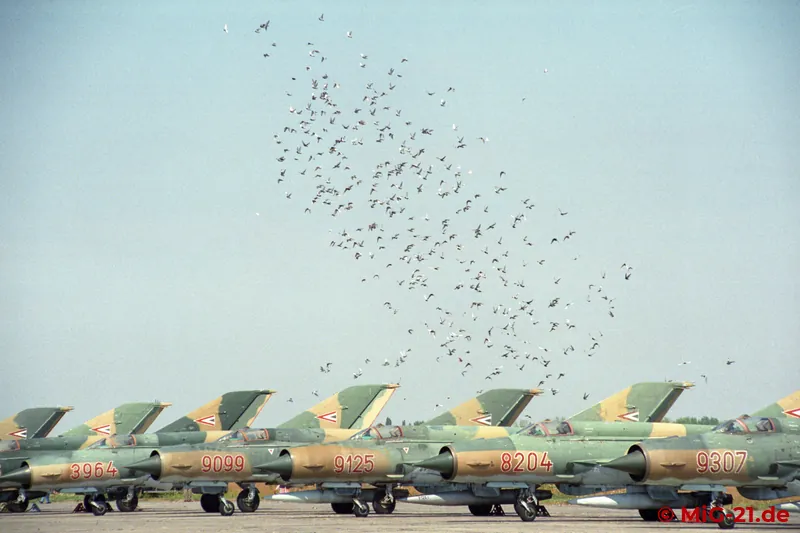 ... then (peace) doves are released and Hungary's MiG-21s are history.