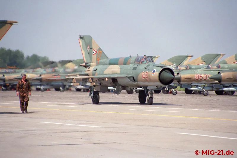 After they have landed, the participants of the farewell flight also line up on the flightline, ...