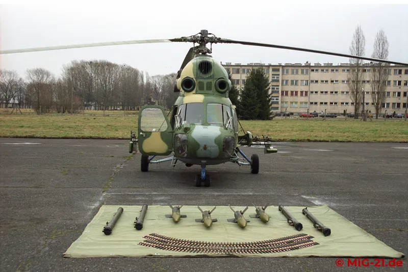 Both Mi-2s ...
